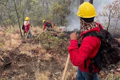 Incendios forestales en Durango