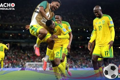 sudafrica mundial 04