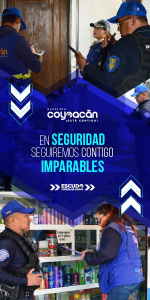 banner digital seguridad 300x600