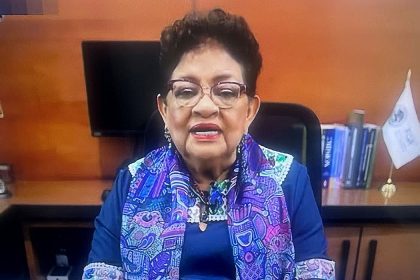 ertnestina godoy, red de huachicol