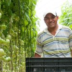 Abren convocatoria para jornaleros de Guerrero que buscan trabajar legalmente en Estados Unidos: STyPS