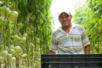 Abren convocatoria para jornaleros de Guerrero que buscan trabajar legalmente en Estados Unidos: STyPS