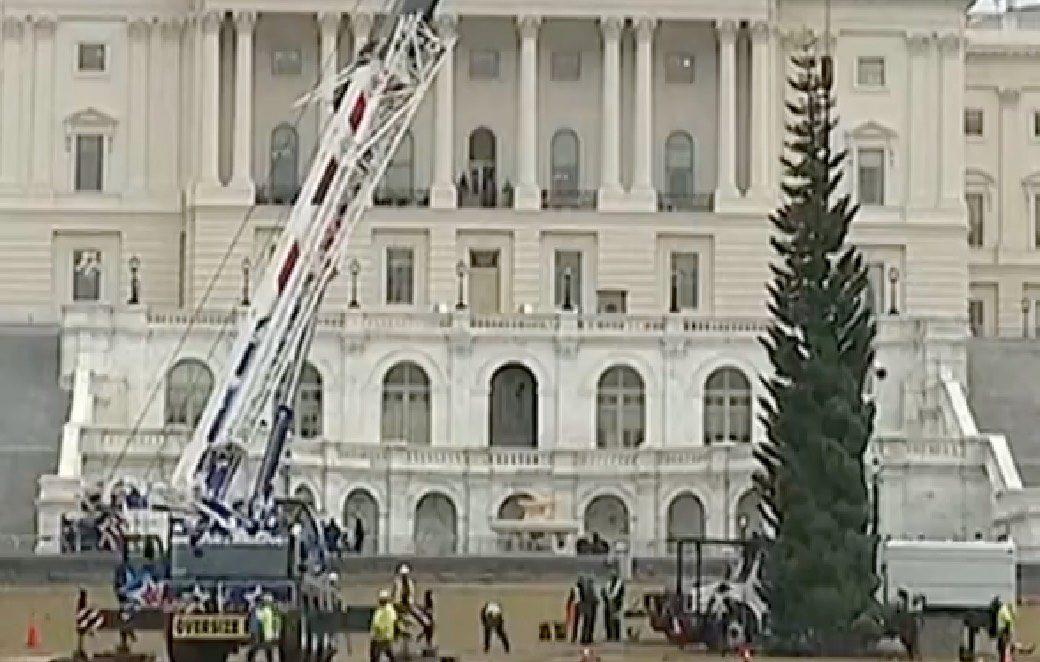 El árbol de navidad que estará encendido en La Casa Blanca| Captura de pantalla
