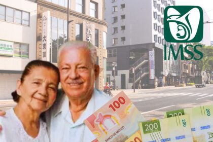 Pensión IMSS | Especial
