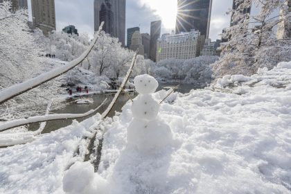 Nueva York y estados vecinos vestidos de blanco ante primera gran tormenta invernal