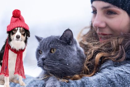 SSC CDMX: sigue estos consejos para mantener calientitos y sanos a tus mascotas