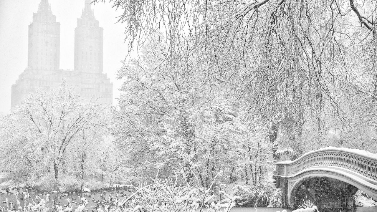 Nevada en Central Park, NY