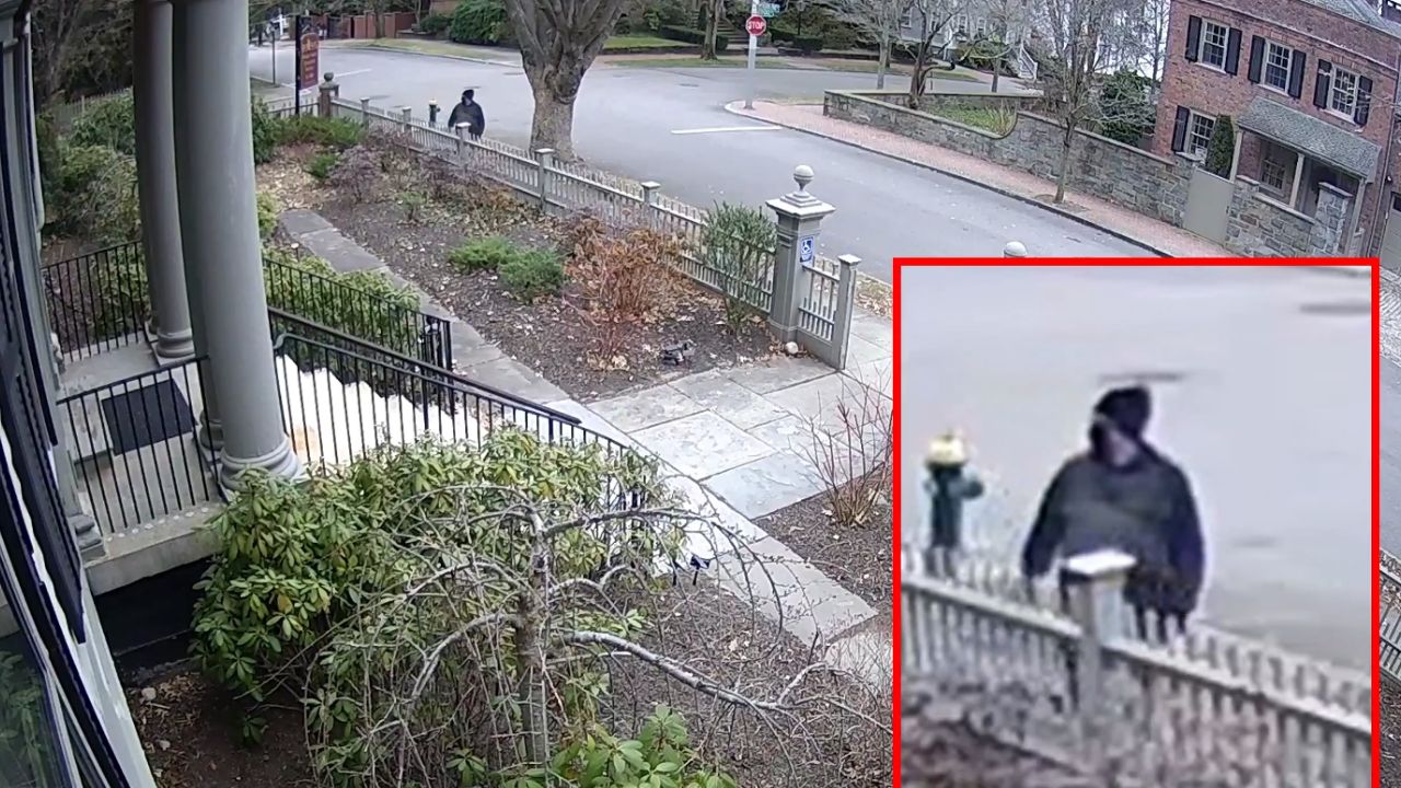 Tirador de Brown University