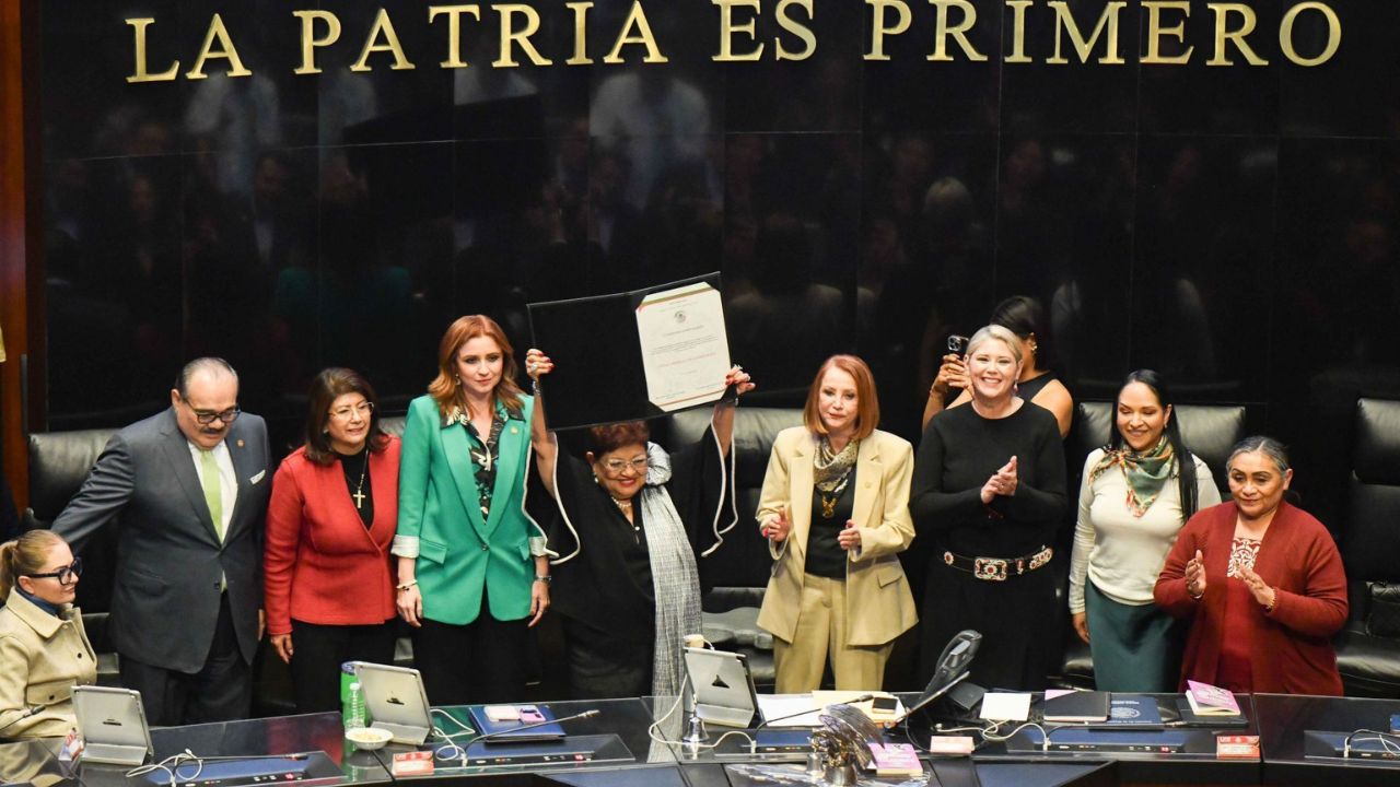Ernestina Godoy, Senado, FGR