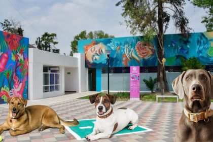 Brugada anuncia la “Utopía Canina” en CDMX y presentará iniciativa para regular refugios de animales