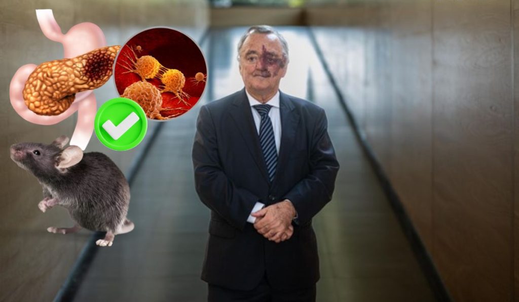 Mariano Barbacid, bioquímico español, y su equipo eliminan por primera vez el cáncer de páncreas en ratones