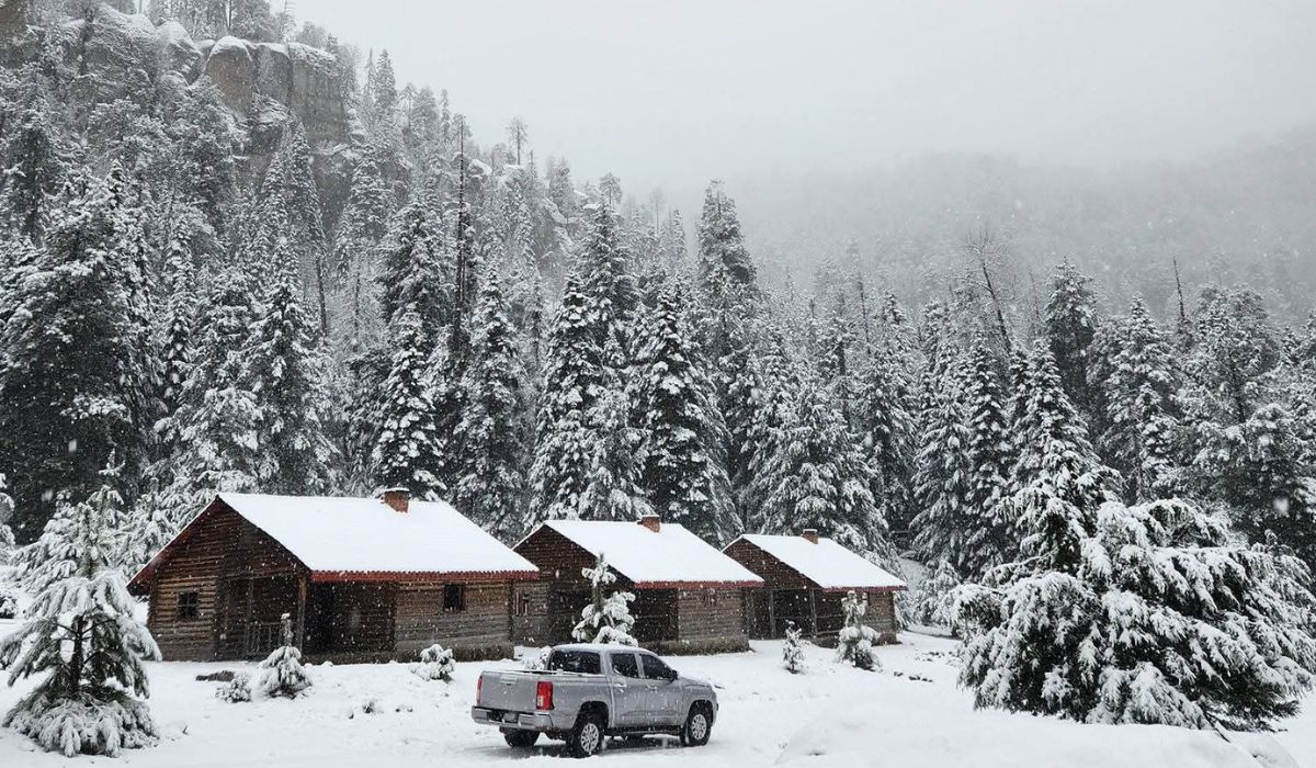 Chihuahua se cubre de blanco: las primeras nevadas del año regalan postales invernales