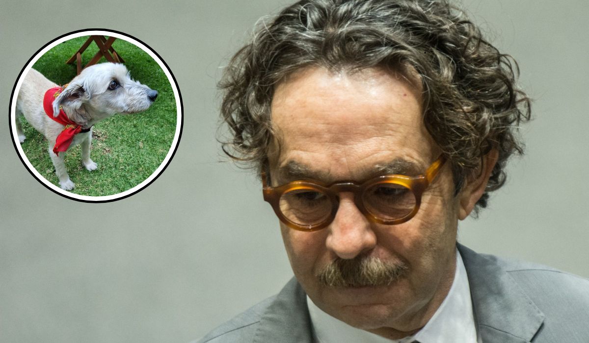 Perro sin correa ataca y mata a Vito, mascota de Gabriel Quadri; excandidato presidencial