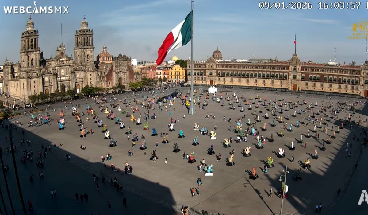 cdmx contingencia
