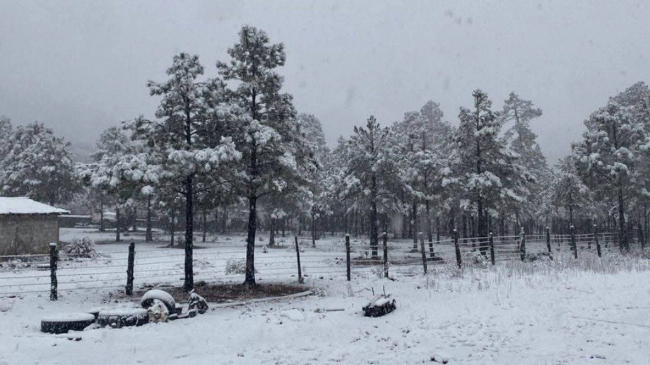 Chihuahua se encuentra bajo nieve| Redes Sociales