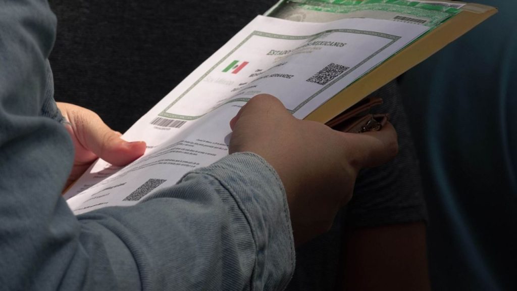 Documentos, CURP biométrica