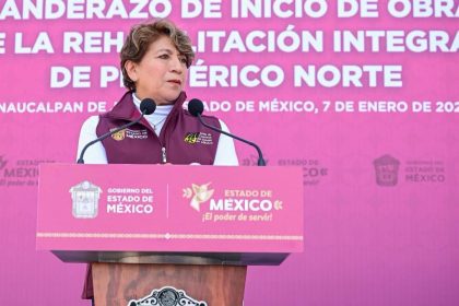 Delfina Gómez, Estado de México