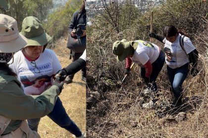 Jornada de Búsqueda en el Cerro del Chiquihuite| Especial
