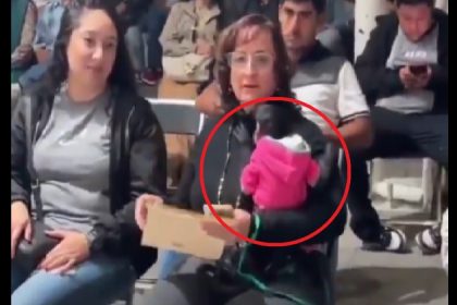 silvia iliana villarruel mono ocotlán