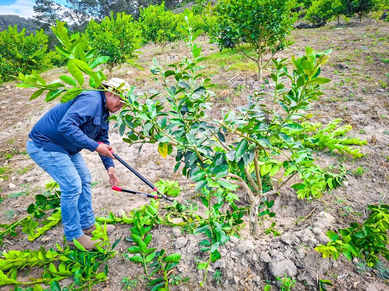 whatsapp image 2026 02 05 at 10.07.08 am