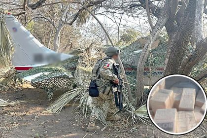 aseguran mas de media tonelada de cocaina tras detectar avioneta clandestina en oaxaca
