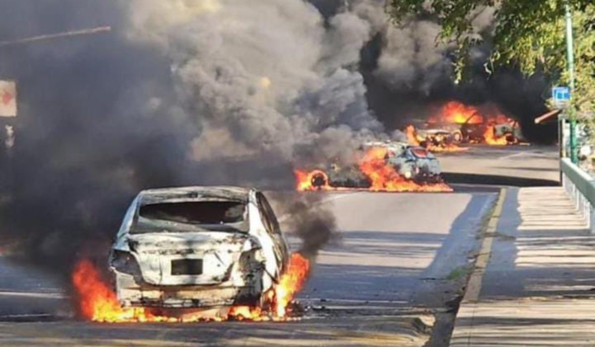 cjng mencho 12