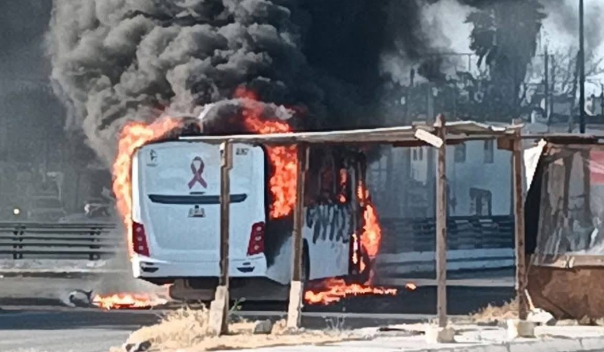cjng mencho reynosa