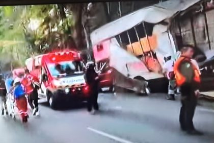 constituyentes peregrinos miguel hidalgo