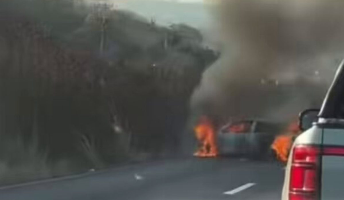 mencho cjng 16