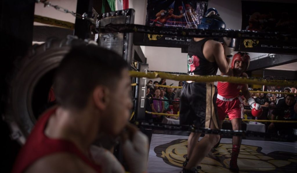 quieres ser entrenador de boxeo asi puedes registrarte y obtener 9 mil 582 pesos al mes
