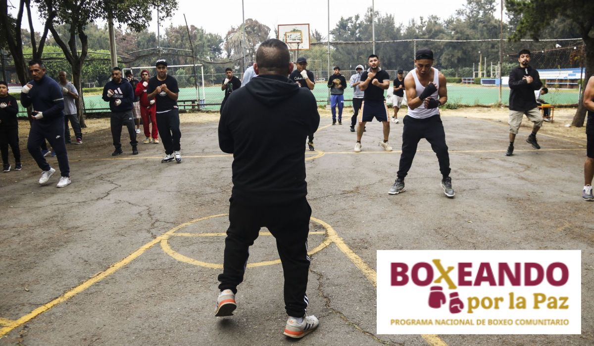 quieres ser entrenador de boxeo asi puedes registrarte y obtener 9 mil 582 pesos al mes