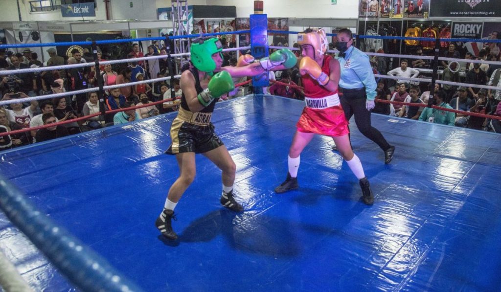 quieres ser entrenador de boxeo asi puedes registrarte y obtener 9 mil 582 pesos al mes1