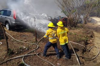 01ce88f7 e67c 44a8 8198 749a2dc03ea2