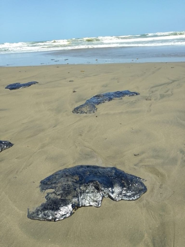 veracruz desastre ecológico