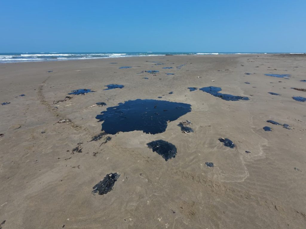 veracruz desastre ecológico