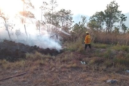 55913065 46e9 4d91 942f def2d823a066