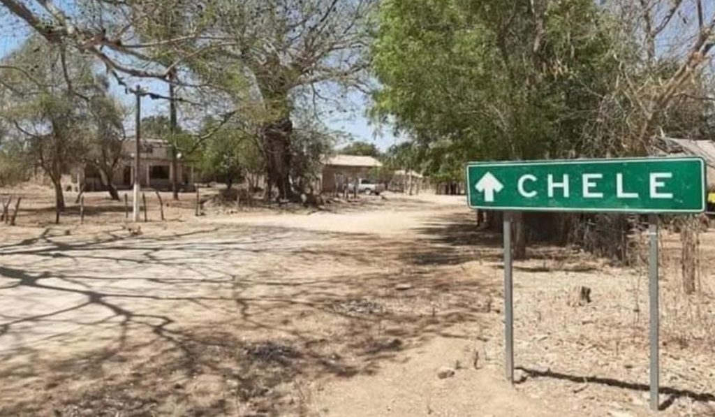 chele sinaloa