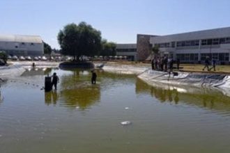 cultivo de tilapia tlaxcala