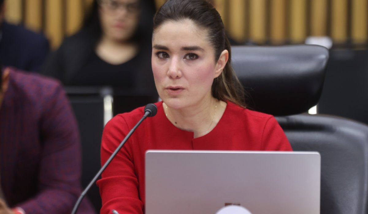 "Podríamos no tener PREP, pero transparentando lo que ocurra en los cómputos distritales”: Dania Ravel