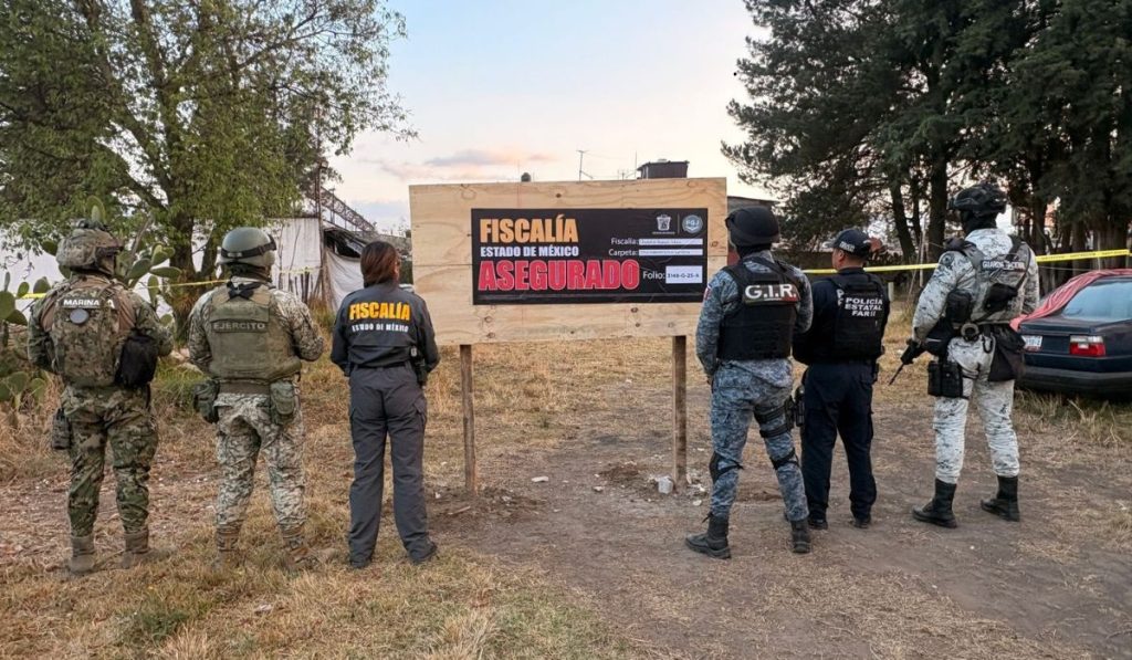 despojo inmuebles edomex