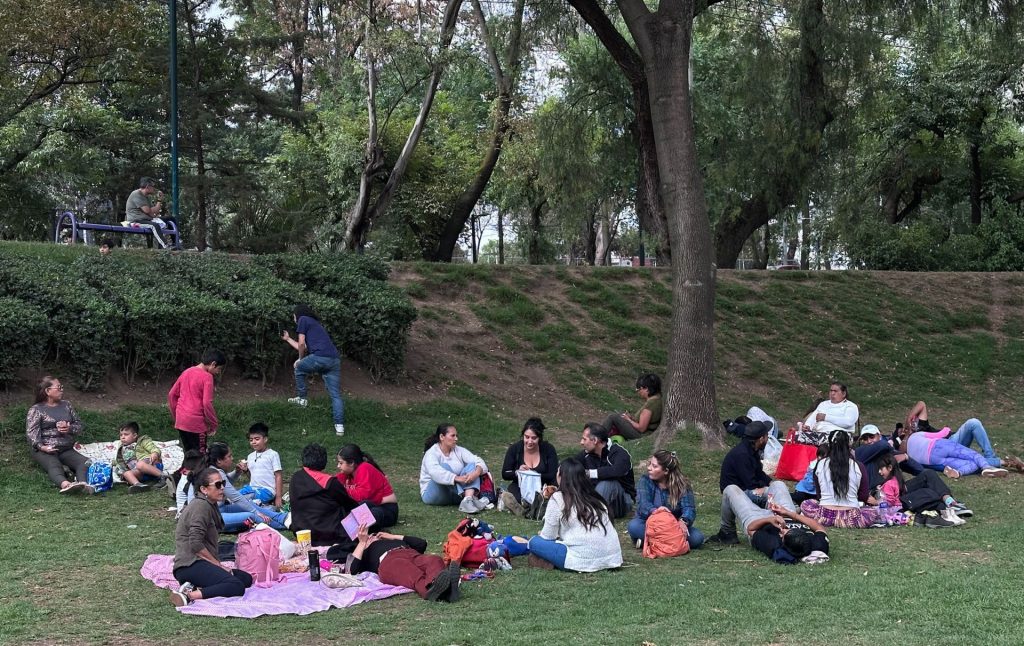 picnic cenart