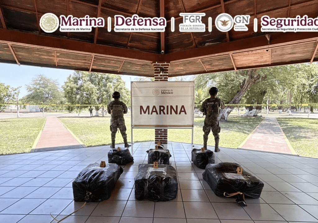 Incautan droga en Michoacán | Marina