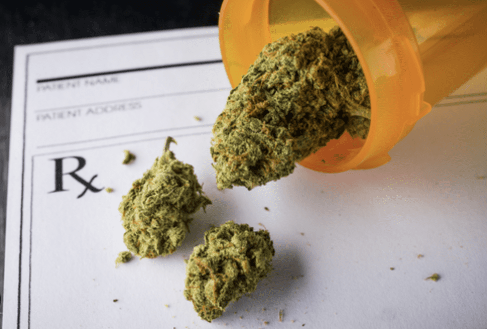 La marihuana es clasificada como 'bajo riesgo'| Especial 