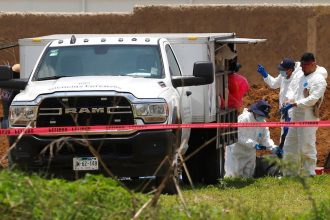 colectivo de buscadoras