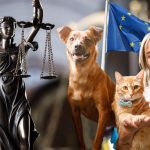 eu apoya a mascotas