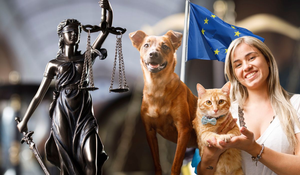 eu apoya a mascotas