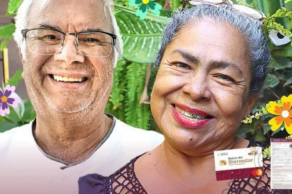 registro pensiones