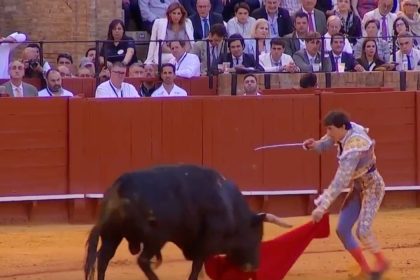 roca rey toros sevilla