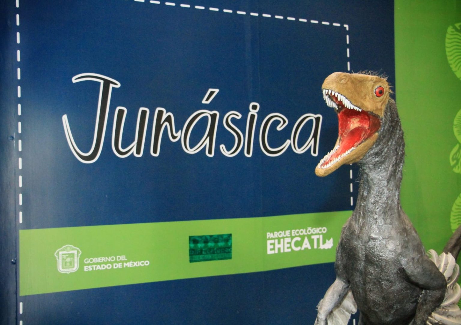 whatsapp image 2026 04 01 at 10.54.51 am (3)