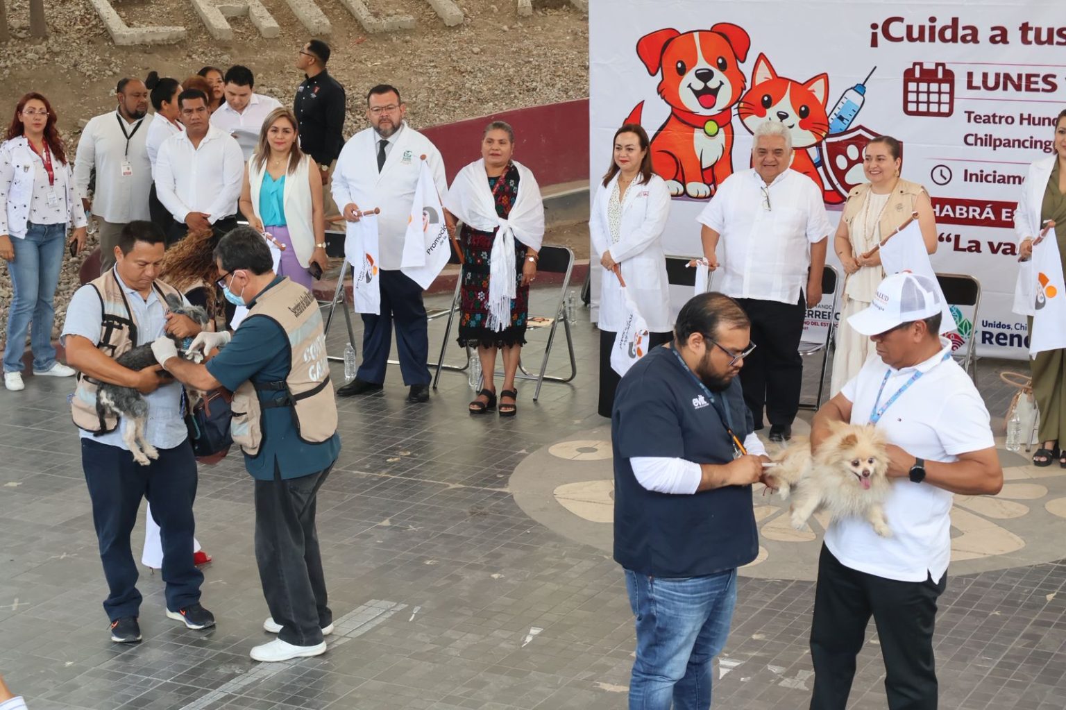 whatsapp image 2026 04 13 at 5.46.18 pm (2)